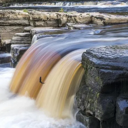 3 Frenchgate House Apartamento